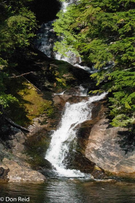 Misty Fjords excursion