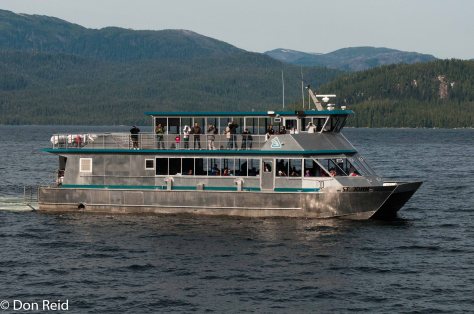 Misty Fjords excursion