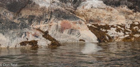 Misty Fjords excursion