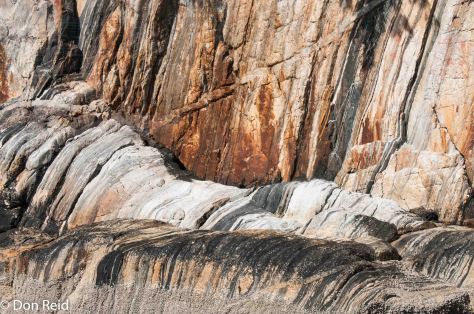 Misty Fjords excursion