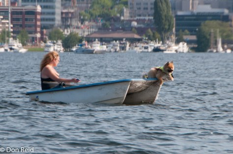 One girl - and a dog - in a boat