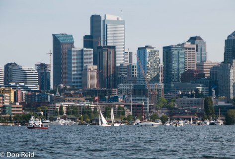 The city skyline from the lake