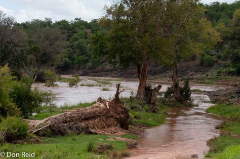 Walk along Luvuvhu River