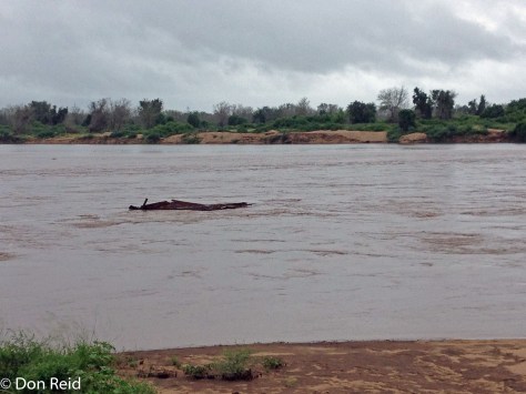 Limpopo River in flood at Crooks Corner