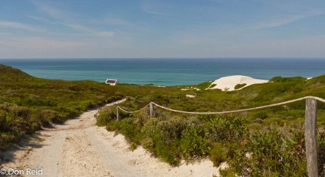 De Hoop NR - Koppie Alleen