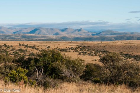 Mountain Zebra National Park