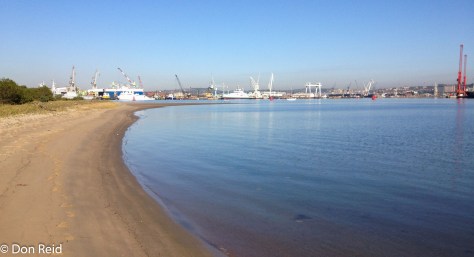 Durban Bayhead Nature Reserve