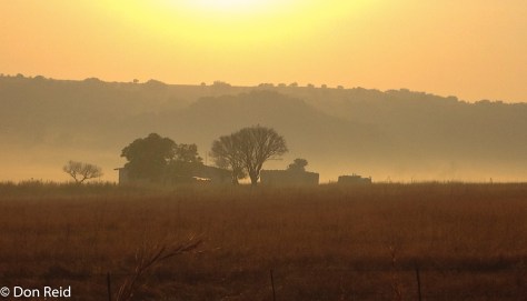Misty morning, Verena