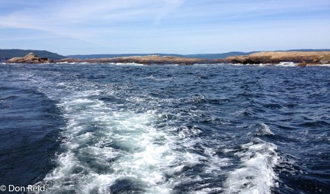 On the way to Bird Islands