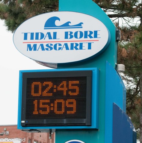 Tidal Bore Park, Moncton New Brunswick