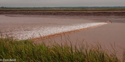 The Tidal Bore arrives at Moncton New Brunswick