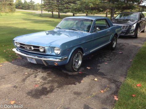 Ray's pristine Mustang (one of the neighbours)
