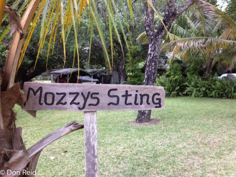 Honeypot lodge Xai-Xai - fair warning (they had nets)