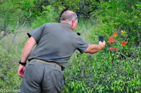 Richard capturing the beauty of the wild flowers