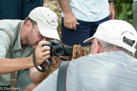Photographing the locust