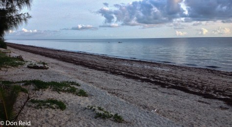 The beach, Inhassoro