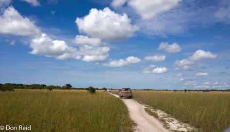 Rio Savane (Photo ; George Skinner)
