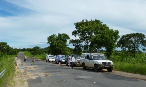 A stop on the road near Gorongosa
