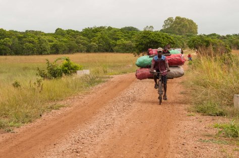 Charcoal transporters, Rio Savane