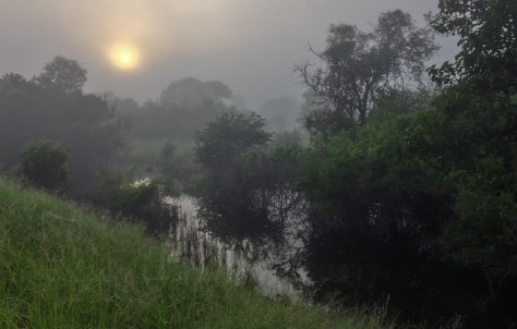 Misty pond near Mphingwe