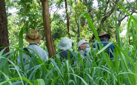 Birders beating about the bush (Corne (Photo : Corne Rautenbach)