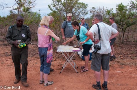 G and T's at the Lek