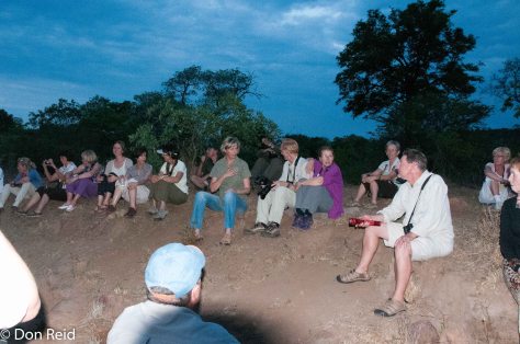 Pennant-winged Nightjar Lek