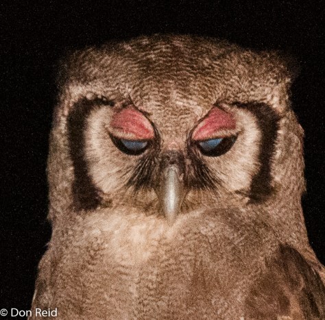 And it's not eye make-up, all natural