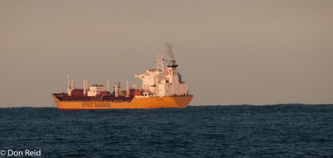 Off to the high seas