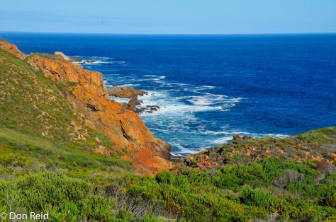 Mossel Bay Golf Estate - nature reserve area