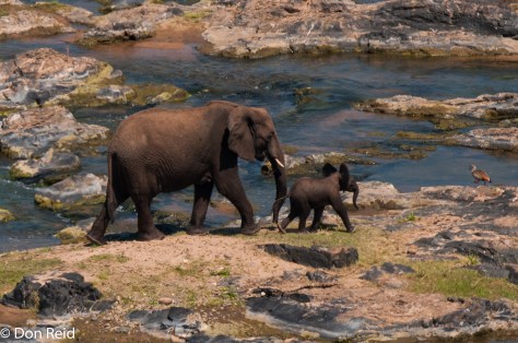 Olifants camp viewpoint