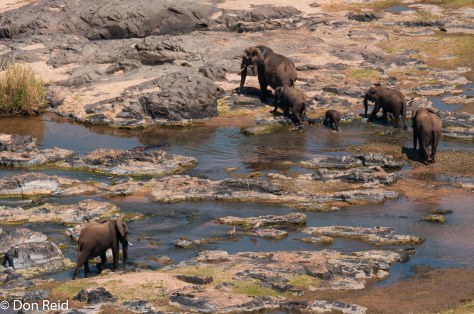 Olifants camp viewpoint