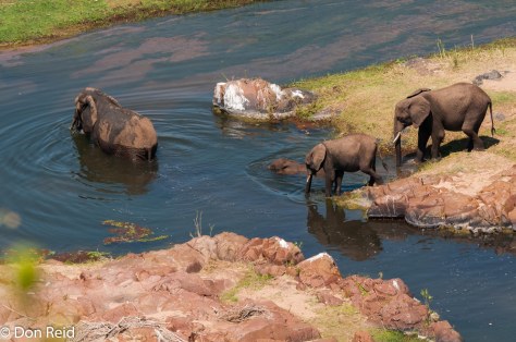 Olifants camp viewpoint