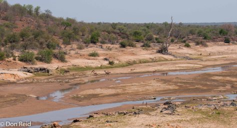 Scene from Olifants river bridge