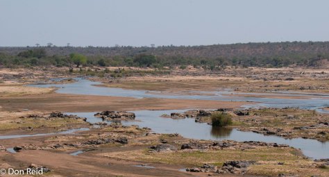 Scene from Olifants river bridge