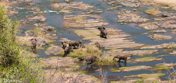 Olifants camp viewpoint