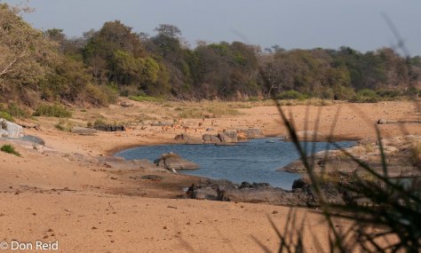 River Scene, Timbavati Road