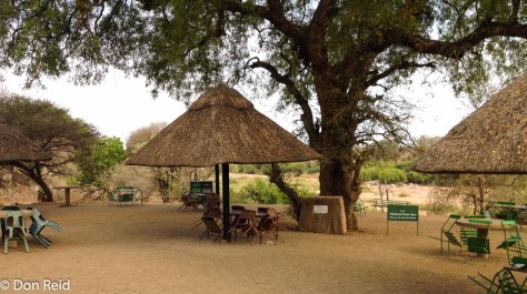 Timbavati picnic spot