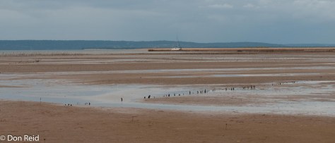 The mudflats, Inhambane
