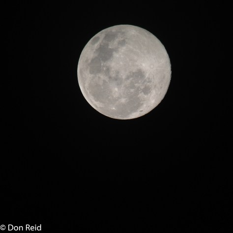 Moon shot with I-phone