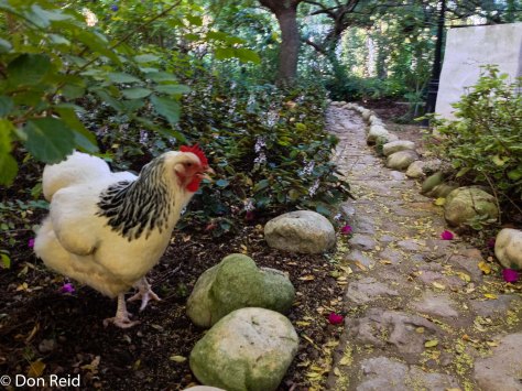 McGregor, Western Cape