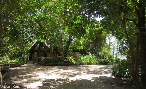 Nest site, Caprivi Houseboat Lodge