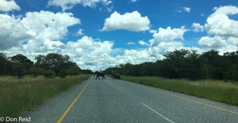 The road through Chobe