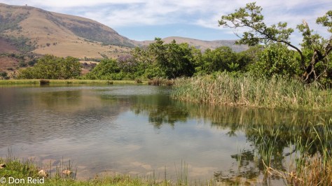 Lower Dam, Verlorenkloof