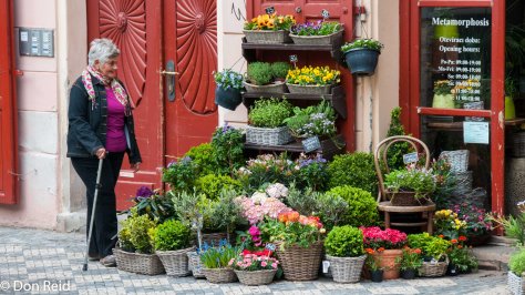 Prague - Florist shop