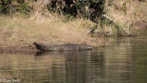 He has not seen us yet