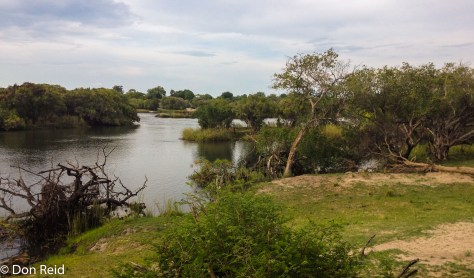 Chobe River