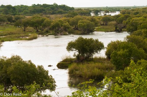 View from deck over Chobe River