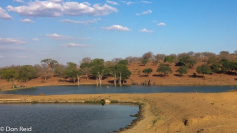Kasane water treatment works - elephants drinking in the distance!