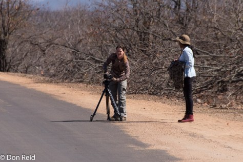 Letaba River walk, KNP